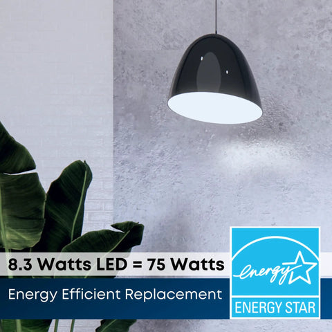 Built Different Led PAR30 Flood Light Bulb 75 Watt Equivalent Bright White Dimmable 750 Lumens Straight Out Shreds Old Halogen Spotlights For Commercial Grade Recessed Tracks