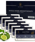 Luxury Hotel Scent Whole Home Air Freshener System For HVAC Filters And Duct Odor Elimination Scented Filters Six Pack