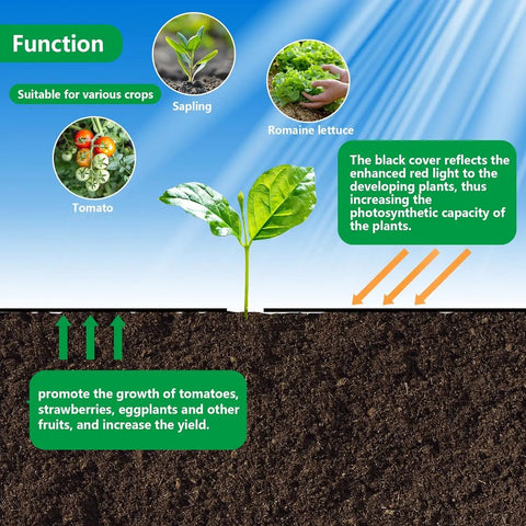 Infographic showing how garden weed barrier fabric promotes plant growth by reflecting light and benefits tomatoes, saplings, and lettuce.