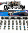 Texas Speed Chopacabra camshaft kit with beehive springs and seals for LS 4.8-6.2 Vortec engines
