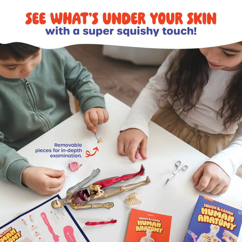 Children playing with Squishy Human Anatomy Body Model With 30 Removable Parts For Kids Aged 4 8 A Fun STEM Toy For Curious Minds