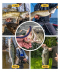 Ultimate Wacky Worm Kit For Bass Fishing With 180 Soft Plastic Lures in various fishing environments: lake, sea, pond, river.