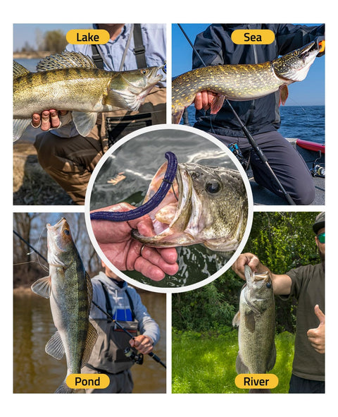 Ultimate Wacky Worm Kit For Bass Fishing With 180 Soft Plastic Lures in various fishing environments: lake, sea, pond, river.