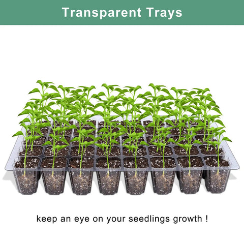 Six Pack Seed Starter Tray Kit With Forty Cell Trays And Humidity Dome, base showing green seedlings in transparent mini propagator.