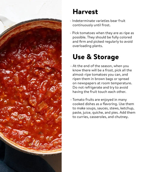 Close-up of fresh tomato sauce made from Gladiator Hybrid Red Tomato Seeds For Home Garden Non GMO Indeterminate Slicing And Paste Tomatoes
