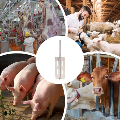 Hog Hair Shaver Portable Stainless Steel Hand Hog Dehairing Tool For Livestock Sheep Cattle In Workshop Slaughterhouse A Real Workhorse Pro Grade Built To Last With Wear Resistant Grooves For Quick Grooming And Clean Butchering, stainless steel hand tool
