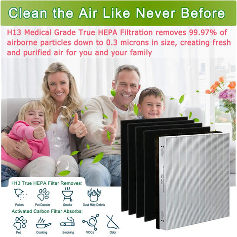Replacement Filter Pack For Vornado Air Purifiers With H13 Main Filter MD1-0022 And Four Activated Carbon Pre-Filters MD1-0023
