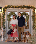 Heavy Duty Outdoor Wall Lanterns Waterproof Exterior Sconces With Beveled Glass Rugged Black Porch Lights For Front Doors illuminated beside family at a festive entrance.