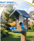 Three In One Bird Nutrition Set With Water Fountain, Fruit Spike And Jelly Tray Feeder For Outdoor Backyards on pole with bluebird