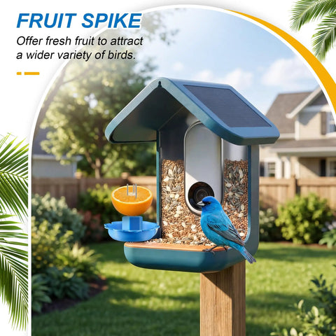 Three In One Bird Nutrition Set With Water Fountain, Fruit Spike And Jelly Tray Feeder For Outdoor Backyards on pole with bluebird