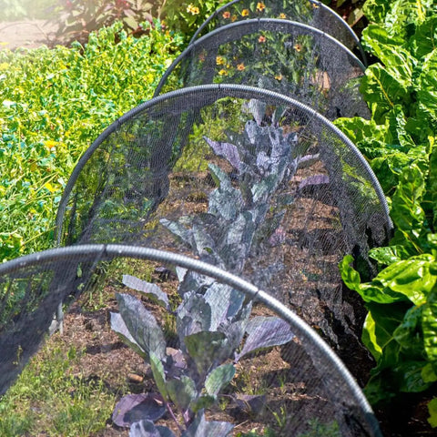 Large Garden Mosquito Netting 39 By 10 Feet Breathable Mesh Shield installed over vegetable garden to protect against bugs.