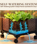 Self Watering Tomato Planter With Trellis 64 Inch Raised Garden Bed showing self-watering system in action with water reservoir.