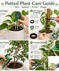 25 Piece Succulent And Bonsai Tools Set For Beginners Indoor Plant Care Kit With Repotting Mat Organizer Tote Soil Moisture Meter Pruning Shears Mini Garden Tools A Must Have Gift For Women And Men. plant care guide showing soil meter, wire ties, pruning shears and scissors