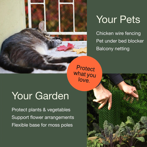 Heavy Duty Plastic Chicken Wire Fence For Pet Protection 15.7 Inches By 10 Feet Black HDPE Mesh Chew Resistant Outdoor Garden Barrier with cat on balcony and hands setting fence in garden
