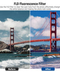 Comparison of a photo before and after using the FLD filter from the 58mm UV CPL FLD ND Filter Kit For Canon Rebel EOS Cameras All In One Lens Filter Set With UV CPL FLD ND2 ND4 ND8 Tulip Visor Foldable Sun Visor Snap On Cap Pouch Safety Clip And Cleaning Wipe.