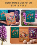 Seed Ball Kit Bundle Pack Of 3 Hand Rolled Wildflower Bombs Non GMO Mix For Annual And Perennial Blooms packaging display