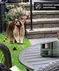Yard Gard Ultrasonic Animal Repeller for 4000 Sq Ft Keeps Deer, Raccoons, and Skunks Out With Humane No Harm High Frequency Sound Humans Don't Hear But Pests Do for a Safer, Pest Free Backyard on patio table
