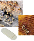 Beekeeping Essentials 10 Pack Plastic Bee Escape Doors For Hives One Way Exit Gates To Clear Bees For Smooth Honey Harvest