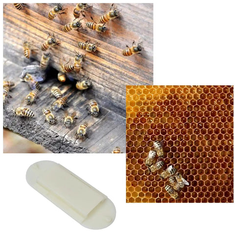 Beekeeping Essentials 10 Pack Plastic Bee Escape Doors For Hives One Way Exit Gates To Clear Bees For Smooth Honey Harvest
