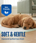 Super Absorbent Disposable Underpads 50 Pack 17 By 24 Inch Leak Proof Pee Pads For Dogs And Puppies on floor with sleeping puppy.