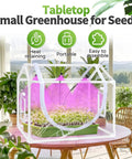 Indoor Mini Greenhouse Kit With Adjustable Led Grow Light And Timer Tabletop Garden Starter housing seedlings on a table.