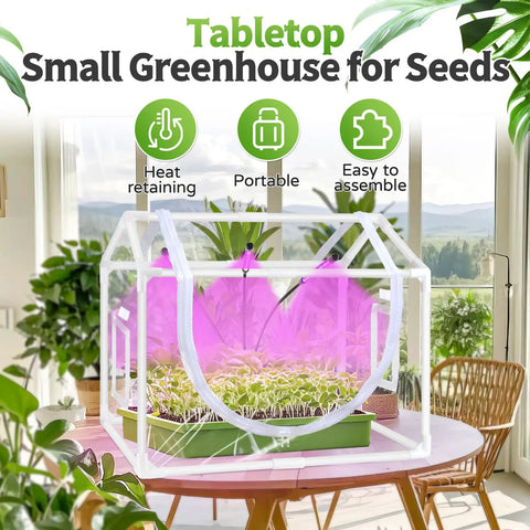 Indoor Mini Greenhouse Kit With Adjustable Led Grow Light And Timer Tabletop Garden Starter housing seedlings on a table.