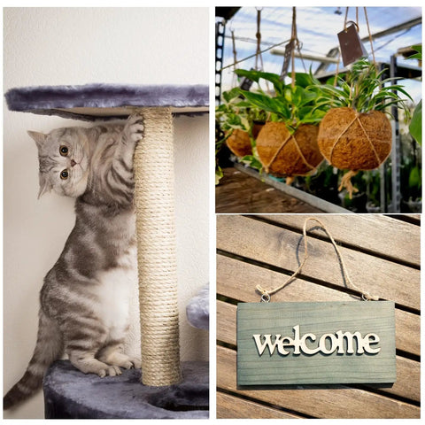 Collage of a cat with scratching post, hanging plant pots, and welcome sign on wooden background.