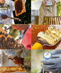 Beekeeping Starter Kit 12 Piece With Bee Smoker And Full Tool Set For Beginners Including Gloves, Frame Grip, and J Hook in use