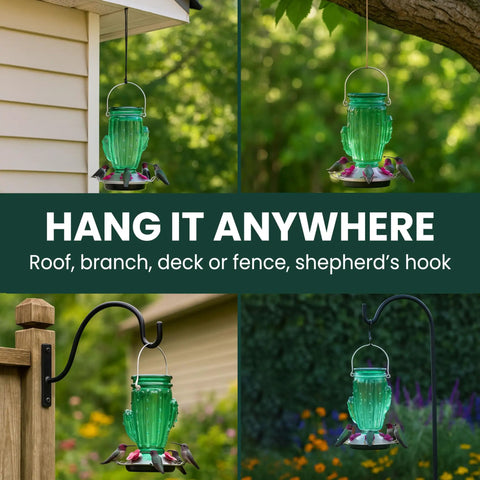 Cactus Top Fill Glass Hummingbird Feeder With Built In Bee Guards And Removable Perches 32 Ounce Nectar Capacity Outdoor Hummingbird Feeder For Gardens, displayed hanging in various outdoor settings.