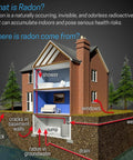 Illustration showing radon entry points in a house, including windows and basement cracks for Plug In Radon Detector For Home And Office