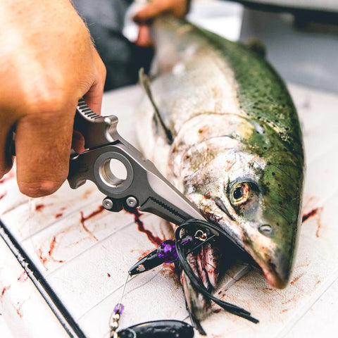 Using Titanium Fishing Pliers With Side Cutters, Halo Hinge, Lanyard, Leather Sheath, Saltwater Ready For Inshore And Nearshore Fishing on a fish