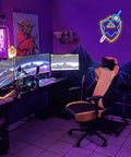 Sword and Shield LED Gaming Light for Game Room Decor, Zelda Inspired Sword and Shield Sign on wall above gaming setup