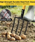 Close-up of a Heavy Duty Four Tine Garden Spading Fork with Ergonomic No Slip D Grip Handles used in potato digging.