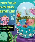 Mini Axolotl Terrarium STEM Kit for Kids A Hands On Garden Experience With Egg Shaped Tank Plant Chia Seeds And Cute Axolotl Toys