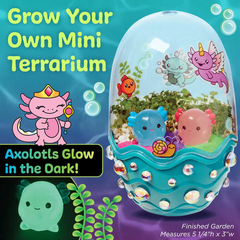Mini Axolotl Terrarium STEM Kit for Kids A Hands On Garden Experience With Egg Shaped Tank Plant Chia Seeds And Cute Axolotl Toys