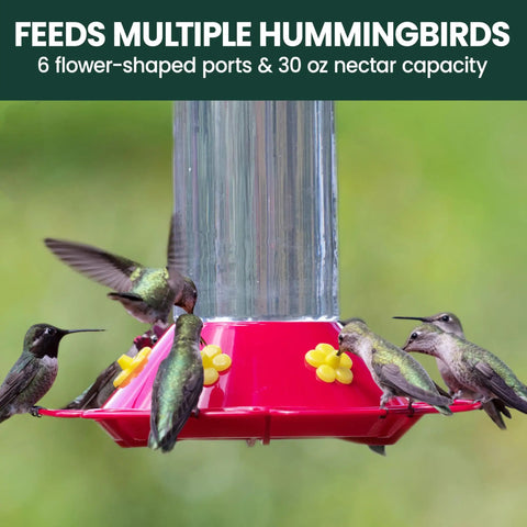Glass Hummingbird Feeder For Outdoors Hanging, 30 Oz Nectar Capacity, Ant And Bee Guarded Red Bird Feeder with feeding hummingbirds