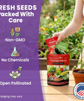 11 Heirloom Vegetable And Fruit Seeds Pack For Home Garden, Non GMO Open Pollinated Variety Bundle held by person next to plant