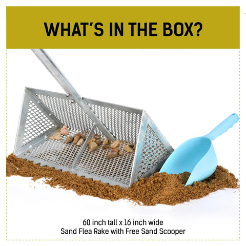 52 Inch Heavy Duty Beach Rake With Large 16 Inch Basket For Collecting Sand Fleas, Seashells, Shark Teeth, And Crabs, Non Slip Ergonomic Handle, Ultimate Beach Sifter Tool For Treasure Hunting, Shelling, And Tidepool Finds