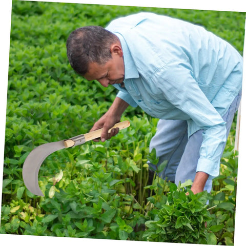 Man using Long Handle Manganese Steel Grass Sickle For Weeding And Harvesting Garden Care With Non Slip Wooden Handle Comfortable Grip