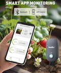Bluetooth 2-In-1 Soil Moisture And Air Temperature Meter With App Remote Monitoring in garden, smartphone showing app controls.