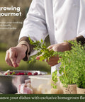 Chef using 9 Herb Indoor Window Garden Kit With Seed Starter For Fresh Homegrown Herbs, Easy To Grow In Kitchen, Complete Starter Pack.