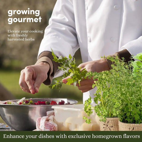 Chef using 9 Herb Indoor Window Garden Kit With Seed Starter For Fresh Homegrown Herbs, Easy To Grow In Kitchen, Complete Starter Pack.
