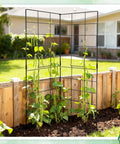 Foldable Two Panel Garden Trellis for Climbing Plants installed in a raised bed, supporting growing vines, outdoor view