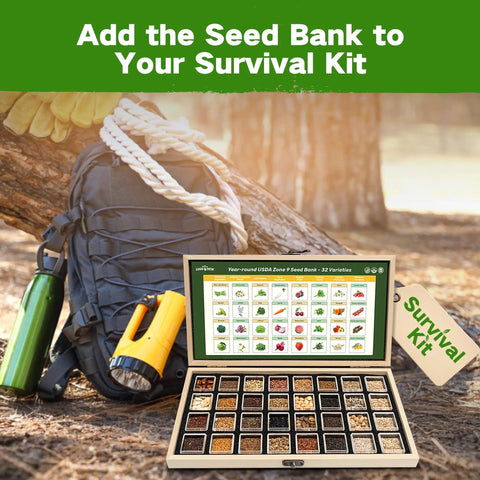 Year Round Heirloom Seed Kit With 32 Varieties And 30,000 Plus Non GMO Seeds open in wooden box next to camping gear outdoors