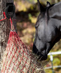 Heavy Duty Solid Steel Horse Tie Ring Set Two Pack With Expansion Screws 3 By 3 Inch Cross Ties Down For Stable Barn Black on tree trunk