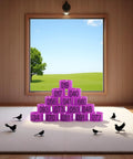 Purple Numbered Leg Bands 100 Pack for Pigeons and Doves 8mm Inner Diameter Elastic Bird ID Rings arranged on carpet near window