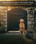 Image of a golden retriever beside a wooden gate featuring Six Pack Four Inch Galvanized T Hinges Deliver Badass Durability For Heavy Duty Shed Gates And Barn Fence Doors featuring smooth swinging pins.