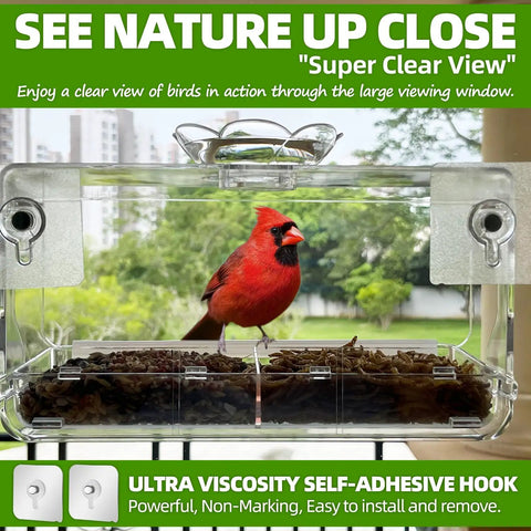 Crystal Clear Window Bird Feeder With Non Marking Self Adhesive Hooks, outdoor view, red bird perched inside