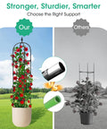 Comparison of Two Pack Garden Obelisk Trellis For Climbing Plants 71 Inch Tall Metal Heavy Duty Rustproof Plant Support Rose Trellis Tower Garden Cage For Flowers Fruits Vegetables Vines Indoor And Outdoor Black Four Tier Adjustable Height against another trellis with roses