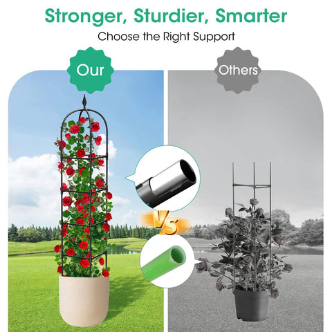 Comparison of Two Pack Garden Obelisk Trellis For Climbing Plants 71 Inch Tall Metal Heavy Duty Rustproof Plant Support Rose Trellis Tower Garden Cage For Flowers Fruits Vegetables Vines Indoor And Outdoor Black Four Tier Adjustable Height against another trellis with roses
